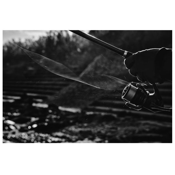 25エクスセンス